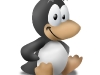 babytux.jpg