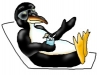 coolpenguin.jpg