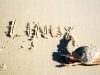 linux-beach.jpg