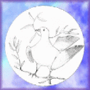 Favola 2007