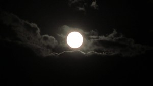 IMG_0818
